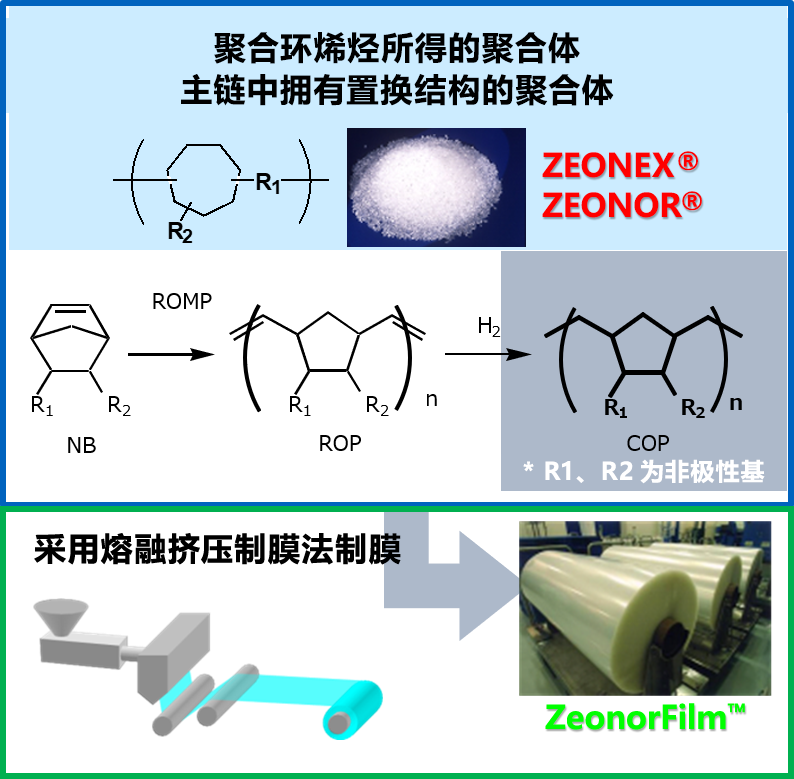 聚合环烯烃所得的聚合体主链中拥有置换结构的聚合体