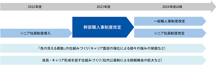 人事制度改定の流れ