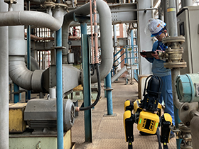Patrol inspection at an actual plant
