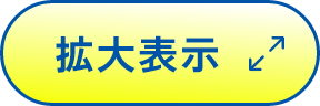 拡大表示