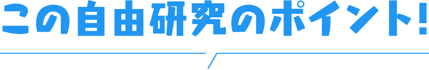 この自由研究のポイント！